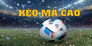 tỷ lệ bóng đá 2 trong 1