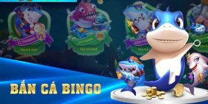 Kinh nghiệm chơi bắn cá binggo từ cao thủ nhà cái 
